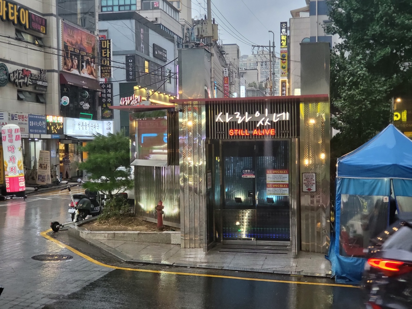 사라있네 이미지 2